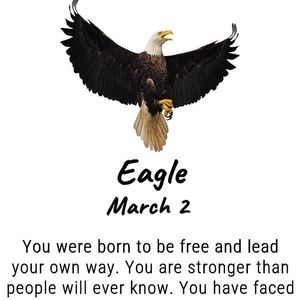 Meet your Posher, Pat